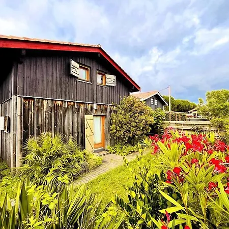 Maison En Bois En 2eme Ligne Gujan-Mestras