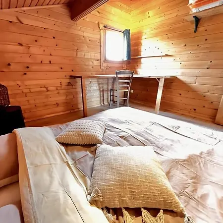 Maison En Bois En 2eme Ligne