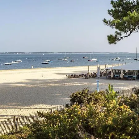 Maison En Bois En 2eme Ligne * 구장메스트라